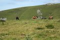 (203) Col d'Aphanize